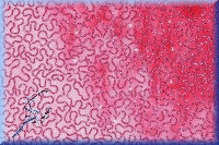 Polyester mesh, pink - 2 way stretch